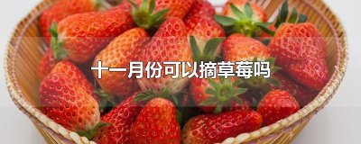 ​十一月份可以摘草莓吗