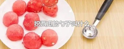 ​挖西瓜的勺子叫什么