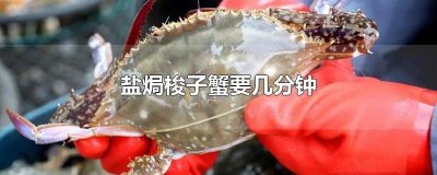 ​焗梭子蟹多少时间 梭子蟹盐焗怎么做