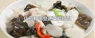 ​山药和哪些蔬菜能搭配