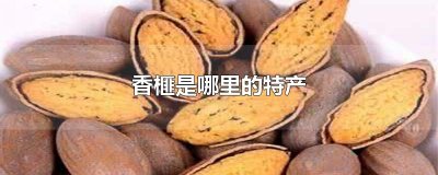 ​香榧是哪里的特产