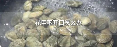 ​花甲不开口怎么办