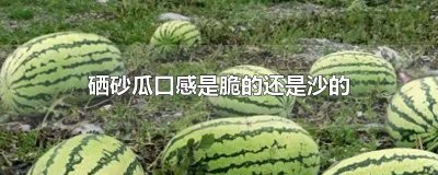 ​硒砂瓜跟压砂瓜哪个好吃 硒砂瓜好不好吃