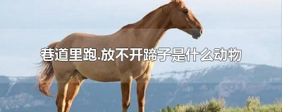 ​巷道里跑?一放不开蹄子 巷道里跑什么放不开蹄子