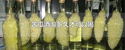 ​苦瓜酒泡多久才可以喝