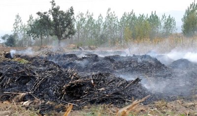 ​焚烧秸秆：农业生产方式的转变