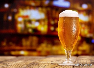 ​纯生啤酒：解锁啤酒世界的鲜爽密码