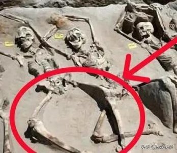 ​古墓里陪葬的妃子，双腿为啥是分开的？她们临死前都经历了何事