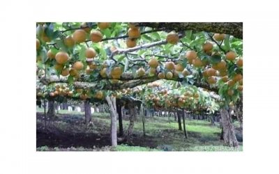 ​一生穷不了的农历生日