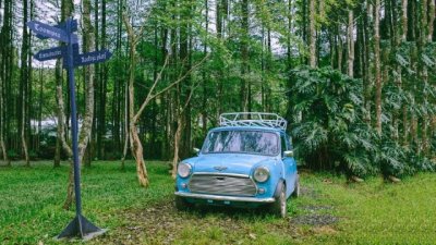 ​姓王的女明星有哪些呢？姓王女明星大全