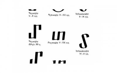 ​向日葵加满天星的花语和寓意