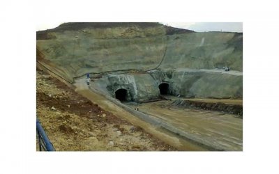 ​三种水果最快祛斑