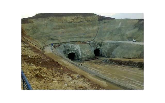 三种水果最快祛斑