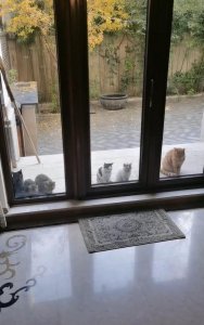 ​曹云金北京5层大别墅曝光，曾和郭德纲反目，离婚都花了200万