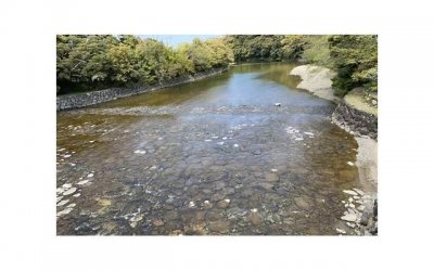 ​让人觉得不靠谱的不是姐弟恋，而是爱情