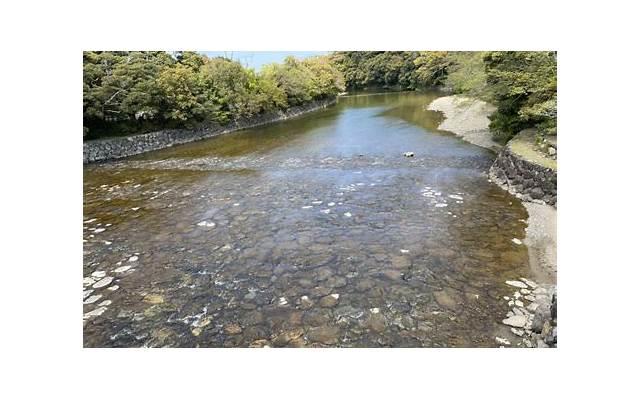  让人觉得不靠谱的不是姐弟恋，而是爱情