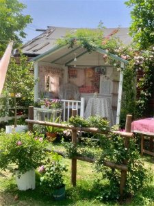 ​为什么家里一定要有院子？这是我见过最实在的答案。