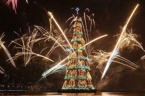 世界上最贵的圣诞树（上面有一颗相当昂贵的24k金镶嵌的鸸鹋蛋）(5)_