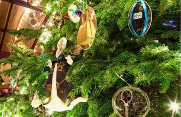 世界上最贵的圣诞树（上面有一颗相当昂贵的24k金镶嵌的鸸鹋蛋）(1)_