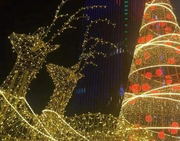 世界上最贵的圣诞树（上面有一颗相当昂贵的24k金镶嵌的鸸鹋蛋）(6)_