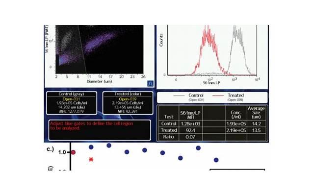 快手小冠军，上快手看重剑冠军孙一文分享击剑心得