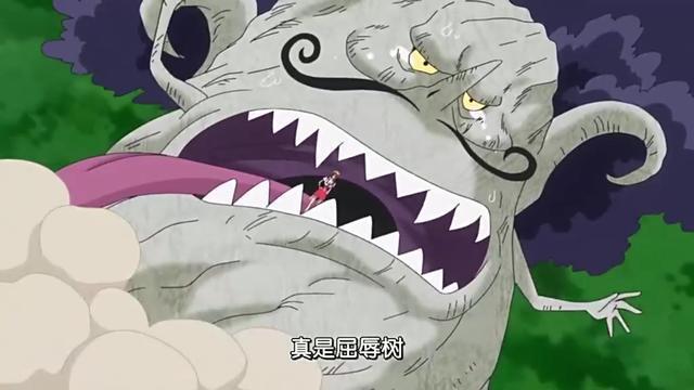 海贼王：恐怖的5只坐骑，一只曾秒杀路飞，一只能踩死四皇