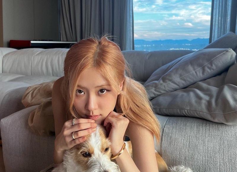 处处显示自己优越感的朋友