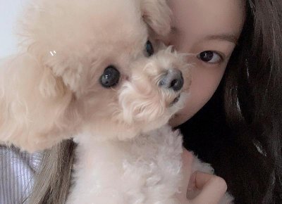 ​回避型人格和性单恋区别