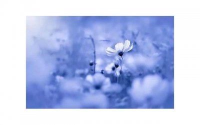 ​订婚女方家什么人不能去