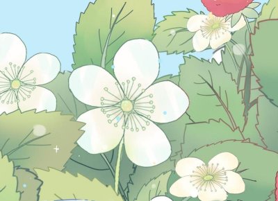 ​付出了精力和金钱，得到的却是别人的不屑