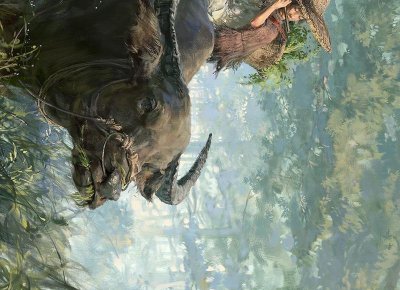 ​人的肢体语言 中国人的肢体语言