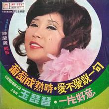 乐坛公认的5位音乐鬼才（创作的歌曲传遍华语世界）(8)