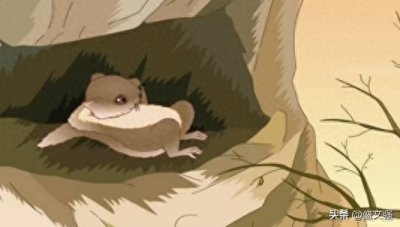 ​寒号鸟：究竟是鸟还是兽？