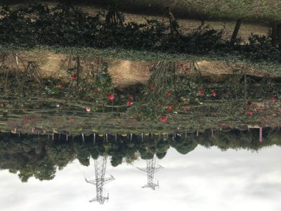 ​紫马岭公园一日游