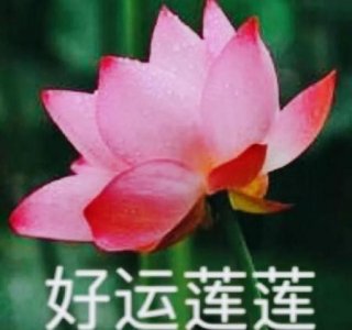 老人死后为什么有的人害怕(家里老人去世为什么要守夜)