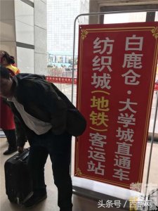 ​方便！西安城东旅游集散中心开通白鹿仓景区直通车