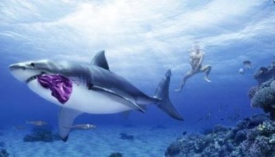 ​沙尘暴 恶化的结果危害众多生态需要