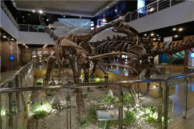 ​恶灵龙：驰龙科里的恶魔（生活在白垩纪时期的恐龙）