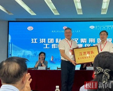 ​正式揭牌！江洪团队工作站落户武汉紫荆医院