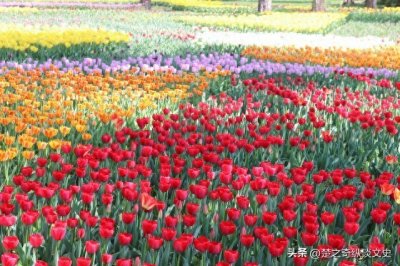 ​忽如一夜春风来 千树万树梨花开：盛唐最著名十首边塞诗欣赏（一）