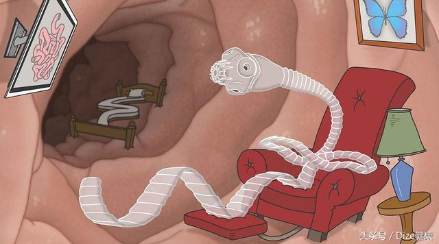 如何去除生鱼片中的寄生虫(吃生鱼片害怕有寄生虫)(2)