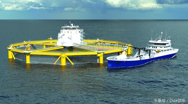 如何去除生鱼片中的寄生虫(吃生鱼片害怕有寄生虫)(5)