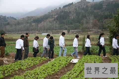 热门专业排名前十，社会竟然最需要这种人才！